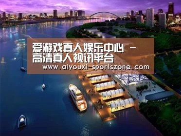 案例展示八