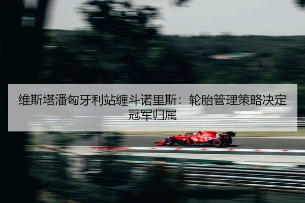 wei-si-ta-pan-xiong-ya-li-zhan-chan-dou-nuo-li-si-lun-tai-guan-li-ce-lve-jue-ding-guan-jun-gui-shu-2-279.jpg