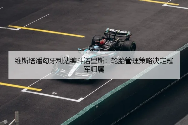 wei-si-ta-pan-xiong-ya-li-zhan-chan-dou-nuo-li-si-lun-tai-guan-li-ce-lve-jue-ding-guan-jun-gui-shu-3-475.jpg