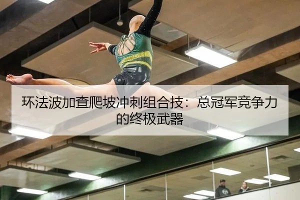 huan-fa-bo-jia-cha-pa-po-chong-ci-zu-he-ji-zong-guan-jun-jing-zheng-li-de-zhong-ji-wu-qi-2-990.jpg