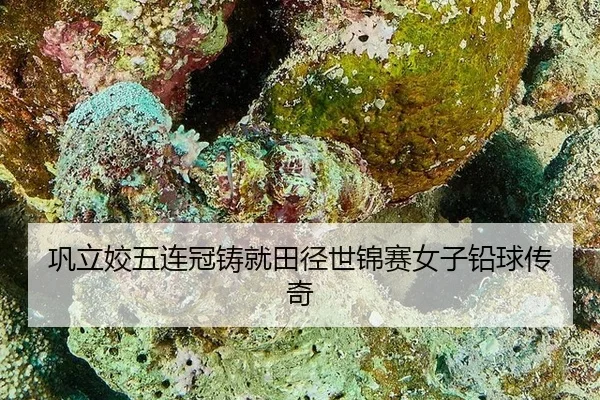 gong-li-jiao-wu-lian-guan-zhu-jiu-tian-jing-shi-jin-sai-nv-zi-qian-qiu-chuan-qi-3-262.jpg