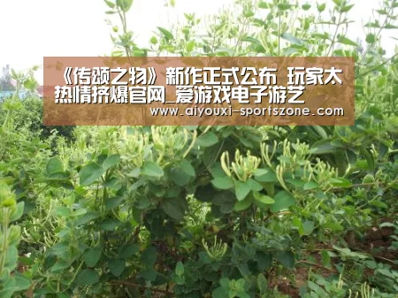 《传颂之物》新作正式公布 玩家太热情挤爆官网_爱游戏电子游艺(图3) 爱游戏电子游艺